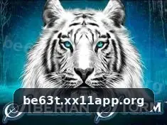 be63t suporte